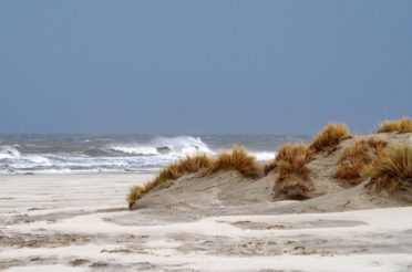 SCHIERMONNIKOOG, HET EILAND WAAR DE NATUUR DE PLAK ZWAAIT