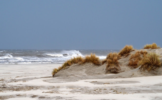 Schiermonnikoog, lauwersoog, Lytje Pôle, Ambrosijn Suites, Waddeneilanden, De Schiere Monnik, de Walviskaak, klooster Klaarkamp, de Langestreek, Willemshof Schiermonnikoog, de Zuidertoren, de Wassermann Bunker, Vredenhof Schiermonnikoog, de Buitentoren, hotel van der werff, Nationaal Park, Nederlandse landgeiten, strandjutten, de marlijn, wadden, wadtodo, 