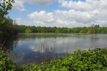 EXPEDITIE SCHELDELAND (1): LENTEPERIKELEN IN HET BLAASVELDBROEK