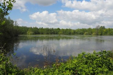 EXPEDITIE SCHELDELAND (1): LENTEPERIKELEN IN HET BLAASVELDBROEK