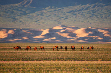 MONGOLIË: MET DE 4X4 DOOR DE GOBI WOESTIJN (1): VAN ULAANBAATAR NAAR BYANZAG