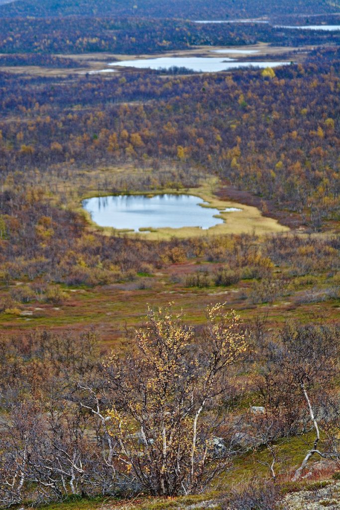 landschap, meren, heilige berg, Sami Lapland, Sami, mountainview, Kuormakka