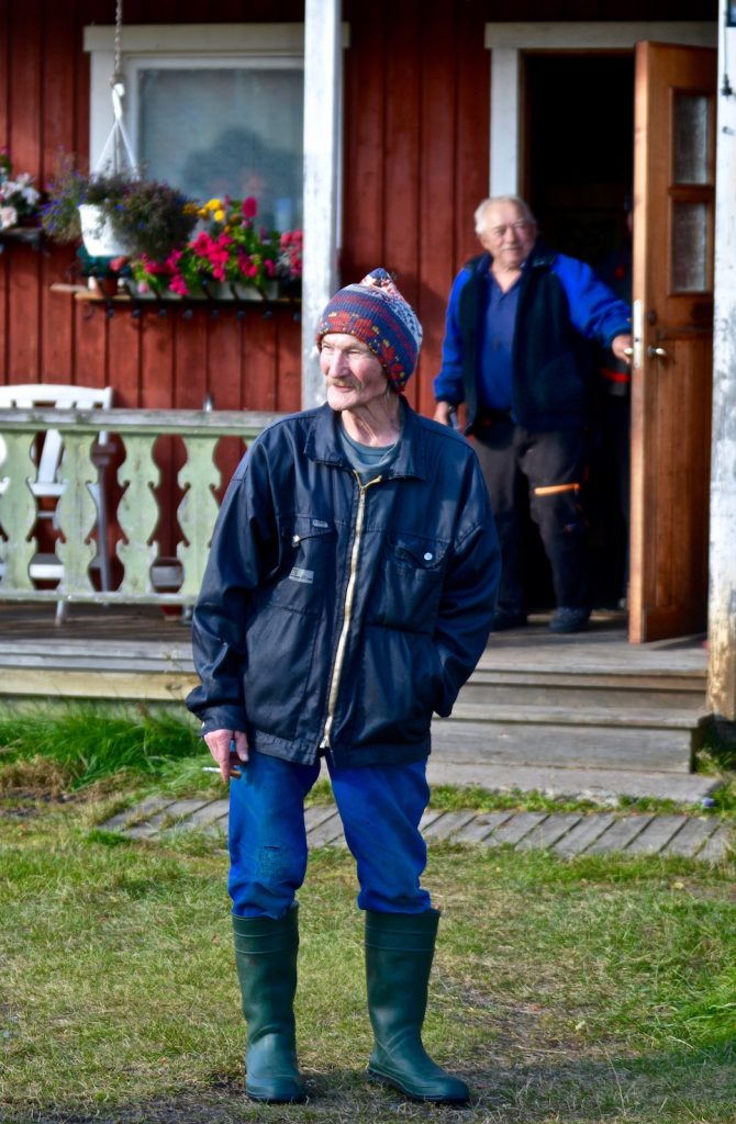 Sami man, rendieren teler, samihuis, Viikusjarvi, Swedish Lapland