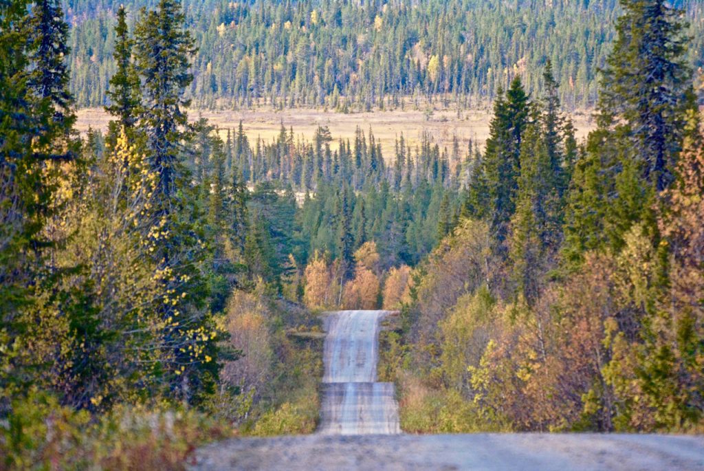 Road, bossen, wood, Lapland Sweden, Zweden, autumn, herfst