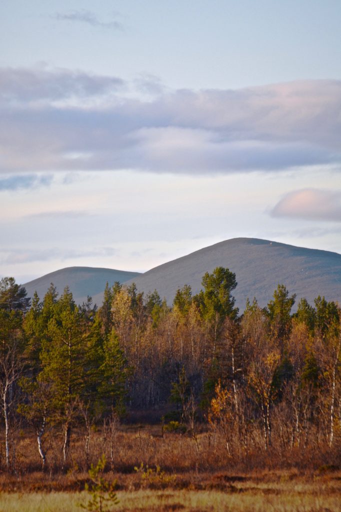 Kuormakka mountain, Zweden, Sweden, Lapland