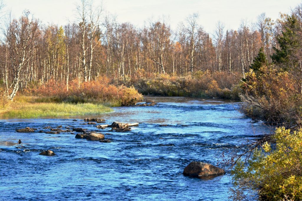 herfstkleuren, herfst, autumn, river, rivier,