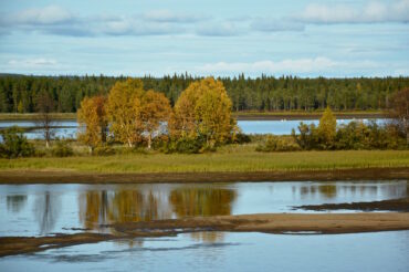 LAPLAND: HERFST IN DE LAATSTE WILDERNIS VAN EUROPA