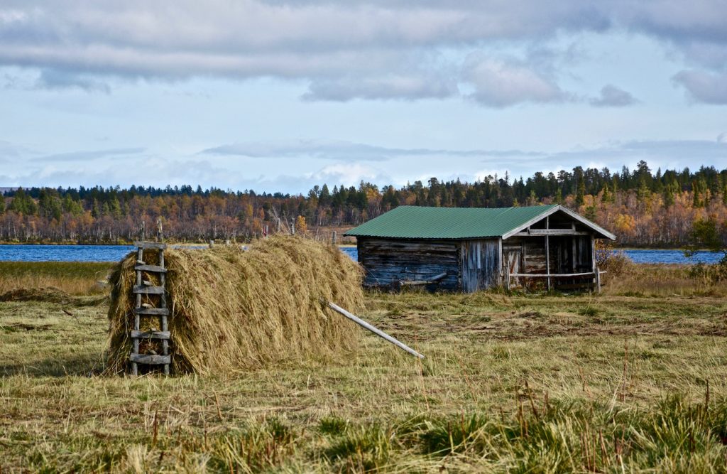 farm, Sami, river, Lapland, Sami boerderij, Viikusjarvi