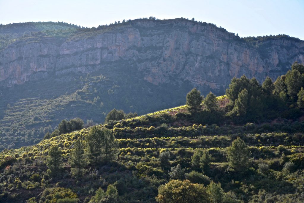 vineyards, wijngaarden, Sierra del Montsant, Priorat, Catalunya, Catalonië