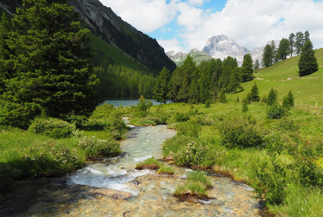 Albula river, mooie natuur, bergen, groen landschap, Graubünden, Zwitserland, Switzerland,