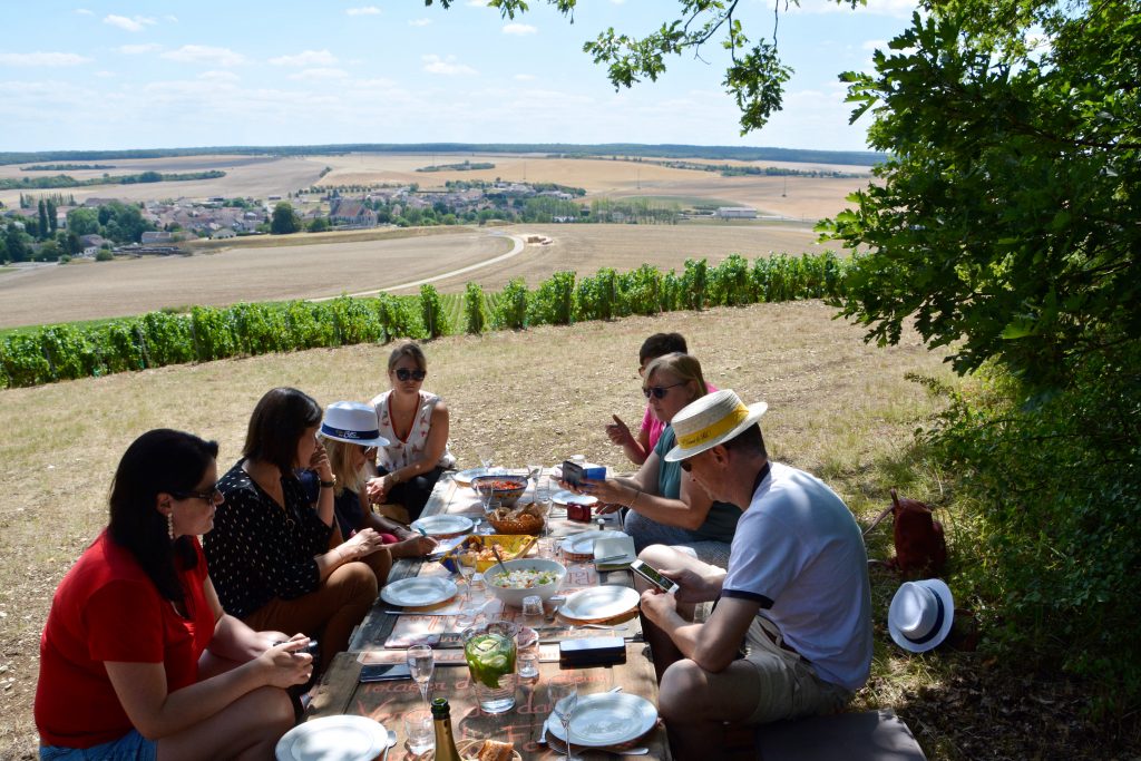 Picknick Champagne Wijngaarden oenotoerisme