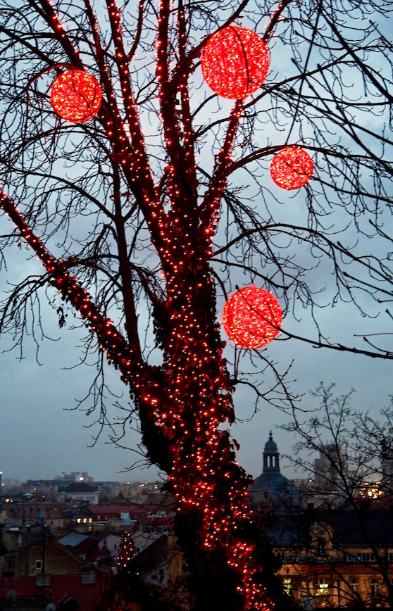 Rode lichtjes, kerstmarkt, uitzicht Zagreb, avond, kerstlichtjes, Zagreb, Kroatië