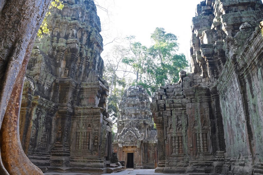 Ta Phrom, de 'Tomb Raider' tempel, junglebomen, 12de eeuwse boeddhistische tempel, Indiana Jones, Lara Croft, kronkelende wortels, jungle, Siem Reap, Cambodja